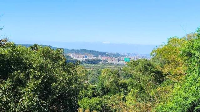 新竹橫山山坡地-13