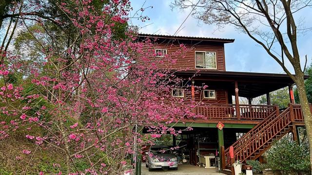 新竹橫山山坡地-0