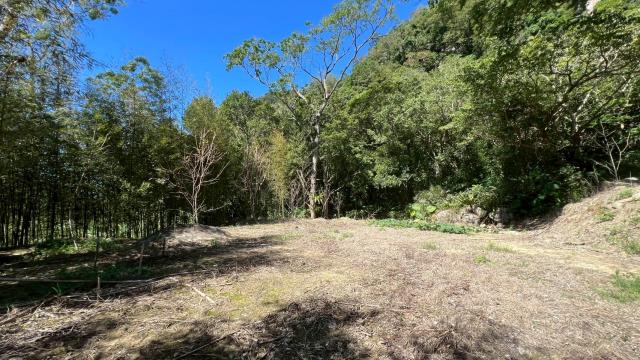 新竹尖石農地-6