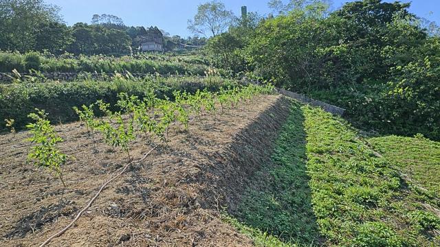 新竹北埔農地-2