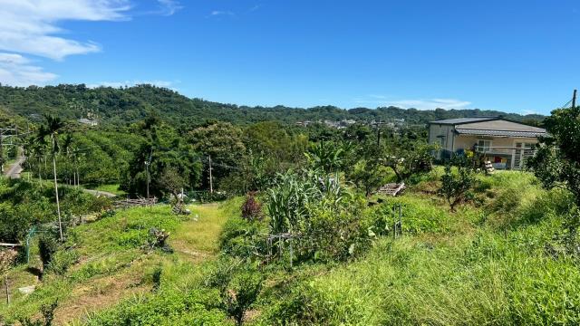 新竹峨眉農地-9