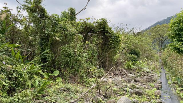 新竹橫山農地-5