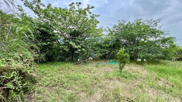 新竹橫山農地-10