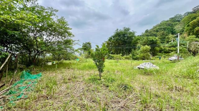 新竹橫山農地-12