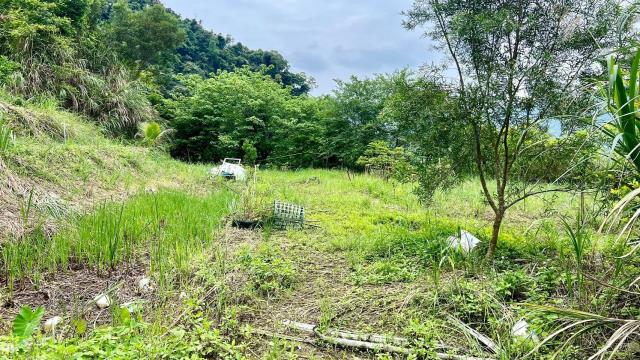 新竹橫山農地-14