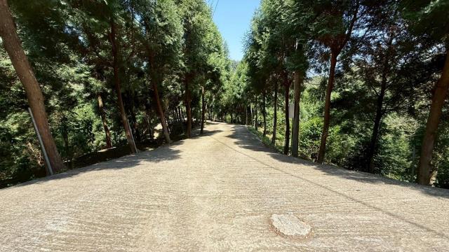 新竹橫山農地-12