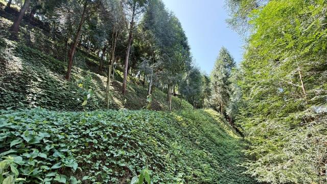 新竹橫山農地-13