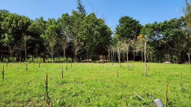 新竹橫山農地-7