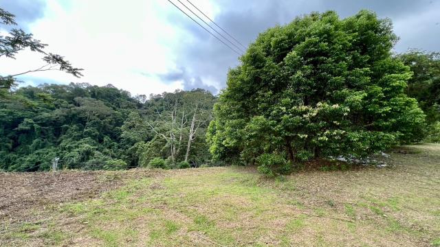 新竹北埔農地-8