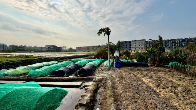 新竹芎林農地-5