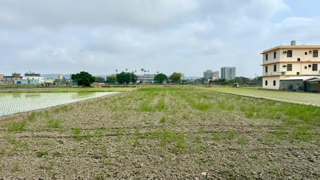 新竹竹北農地-2