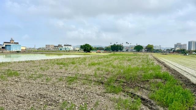 新竹竹北農地-4