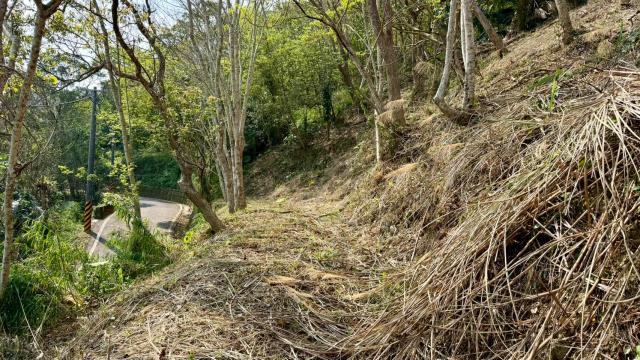 新竹北埔農地-12