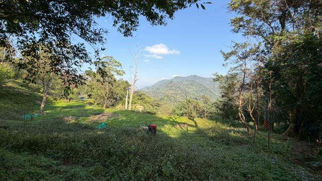 新竹北埔農地-11