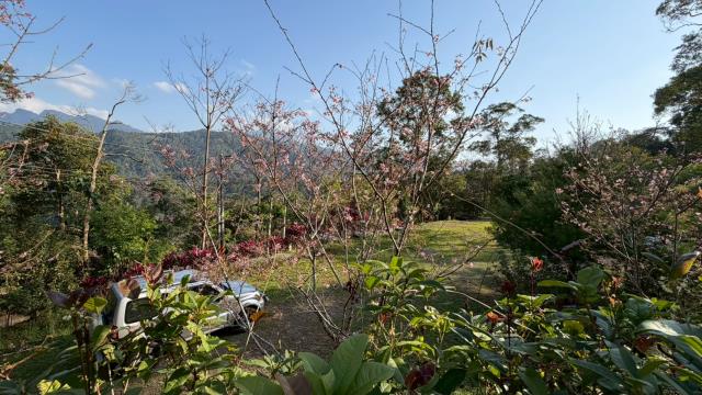 新竹北埔農地-5