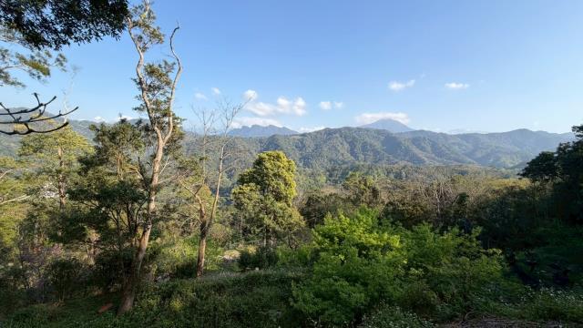 新竹北埔農地-14