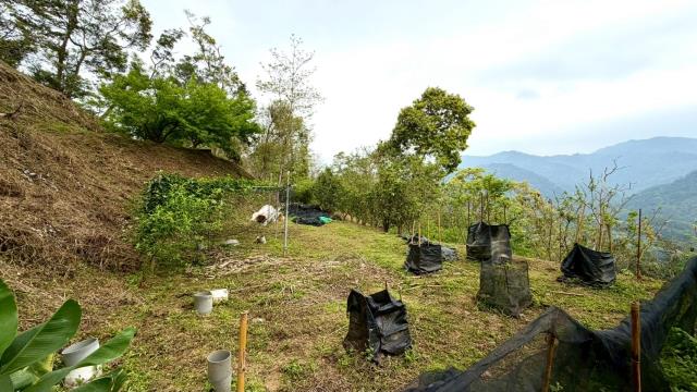 新竹北埔農地-10