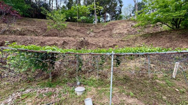 新竹北埔農地-0