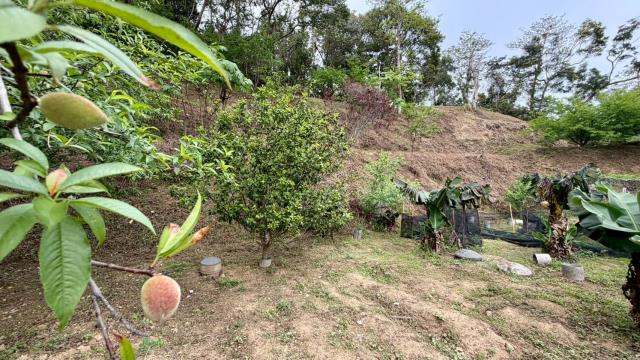 新竹北埔農地-5