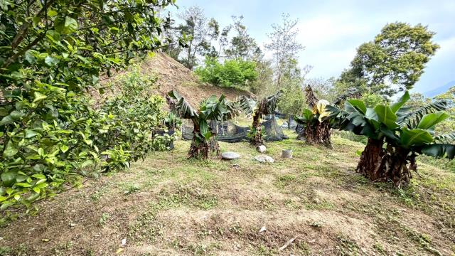 新竹北埔農地-6