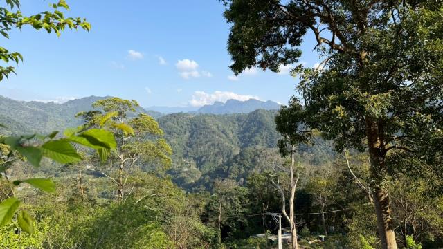 新竹北埔農地-11