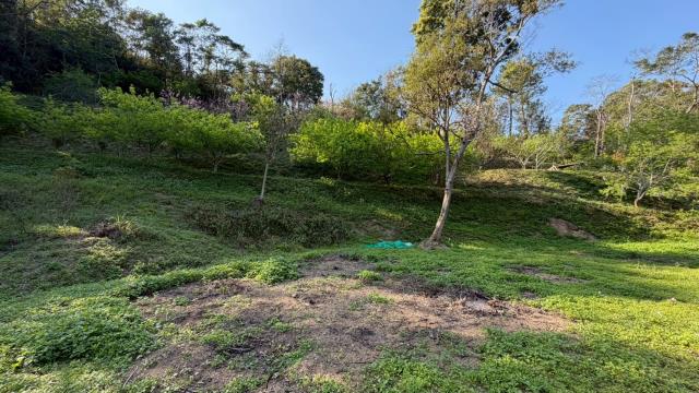 新竹北埔農地-3