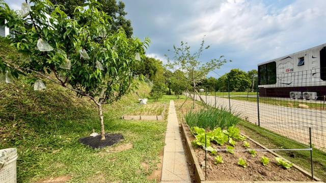 新竹關西農地-13