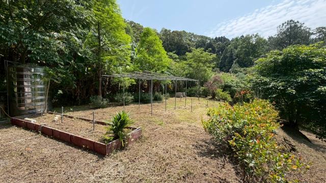 新竹峨眉農地-3