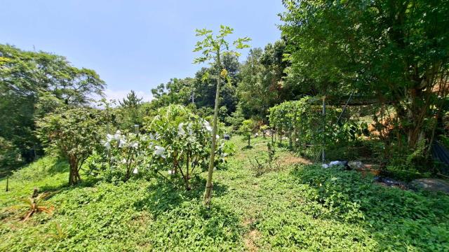 新竹峨眉山坡地-9