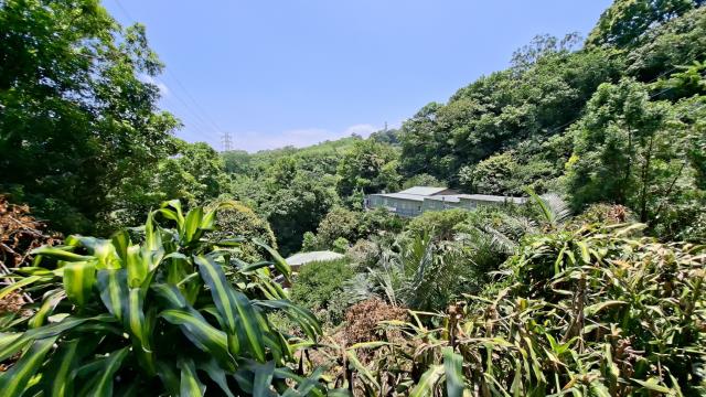 新竹峨眉山坡地-14