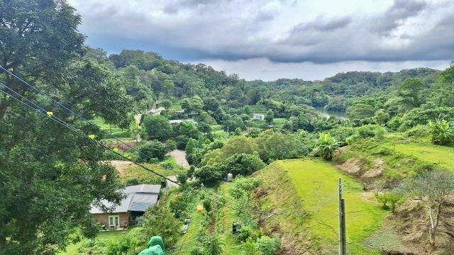 寶山山坡地-10