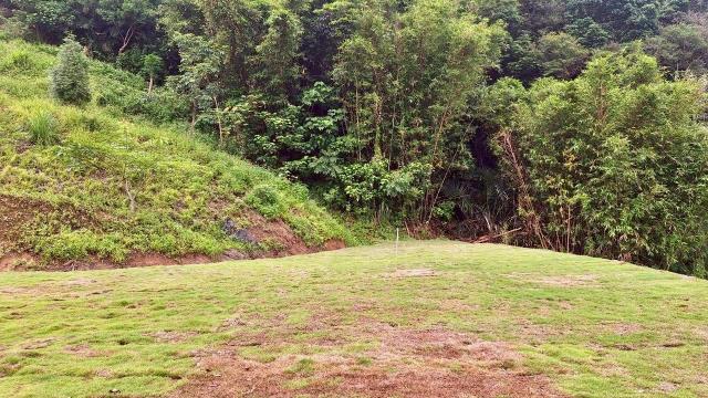 寶山山坡地-6