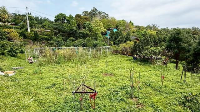 新竹峨眉農地-11