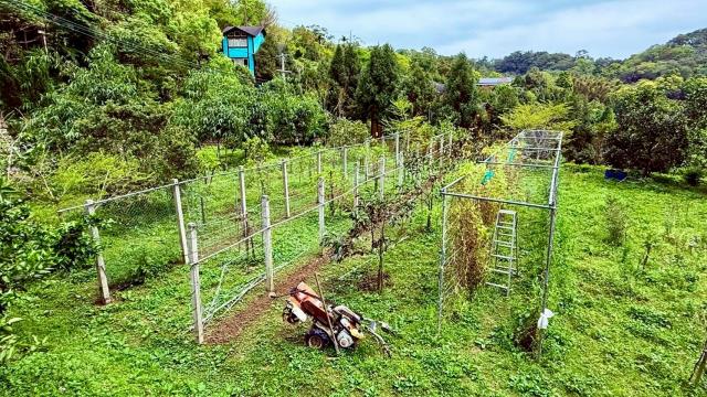 新竹峨眉農地-12