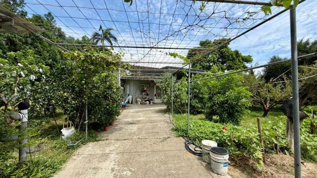 北埔農地-1